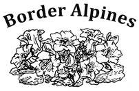 Border Alpines